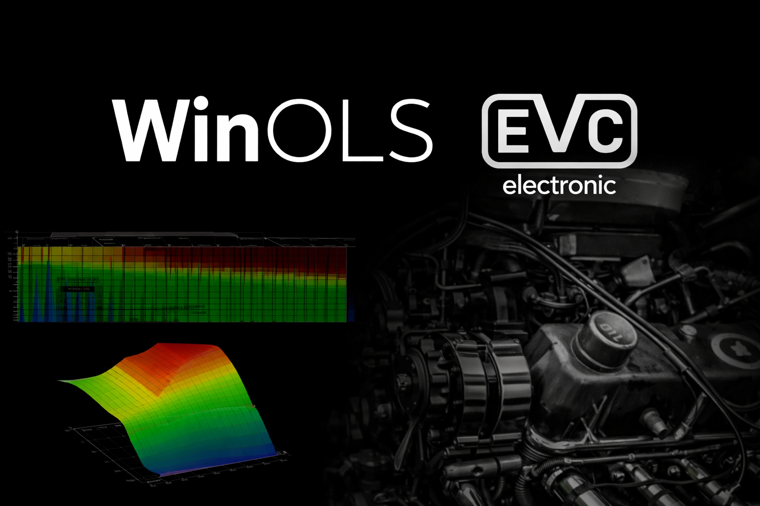 WinOLS5 software OLS505 - Image 4