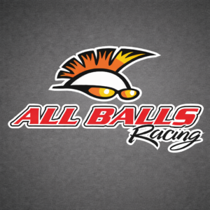 All Balls Racing Head Gaskets